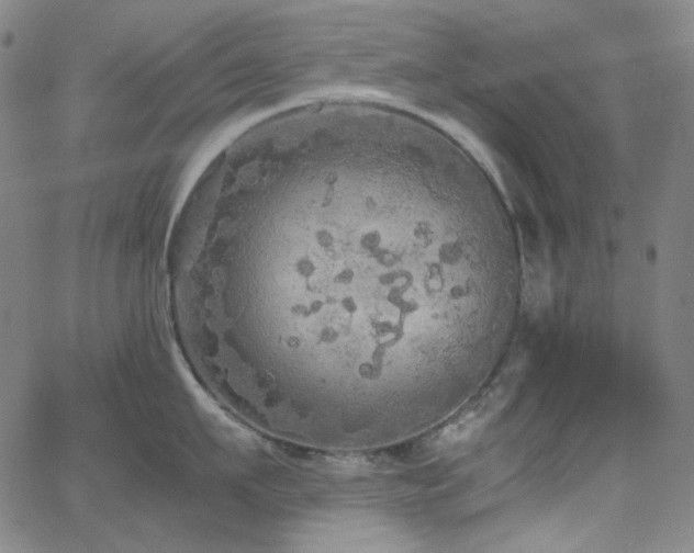 X0000063460911200601201242