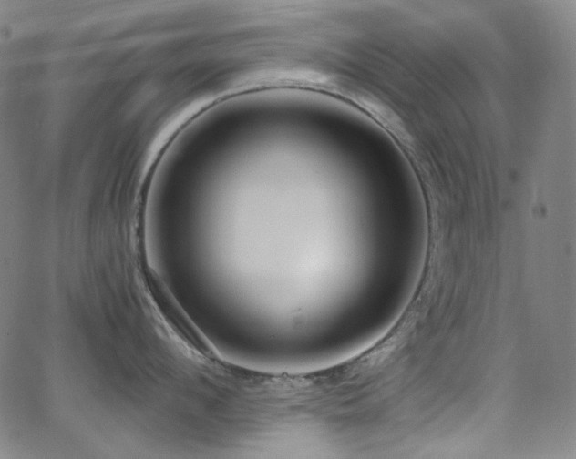 X0000063460912200601201242