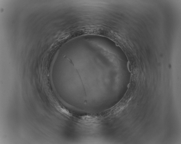 X0000063460913200601201242