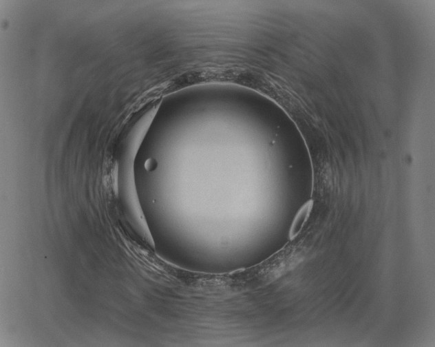 X0000063460914200601201242