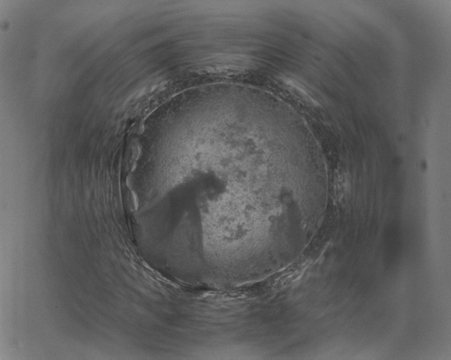 X0000063460917200601201242