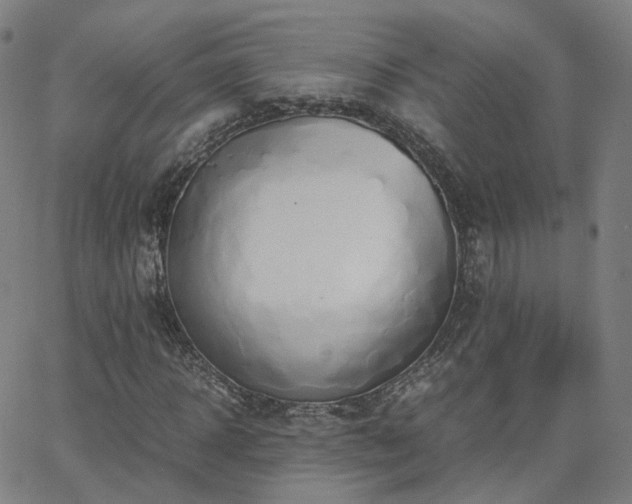 X0000063460918200601201242