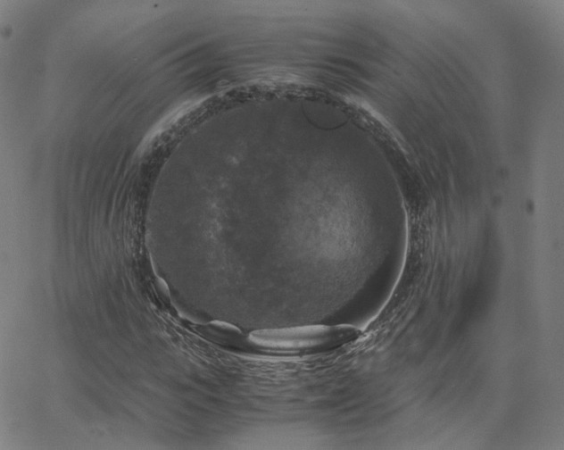 X0000063460919200601201242