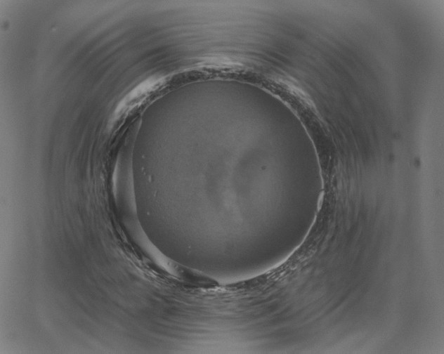 X0000063460920200601201242