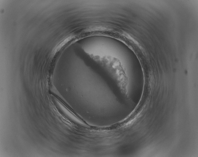 X0000063460921200601201242