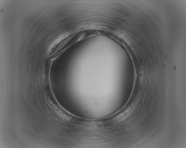 X0000063460922200601201242