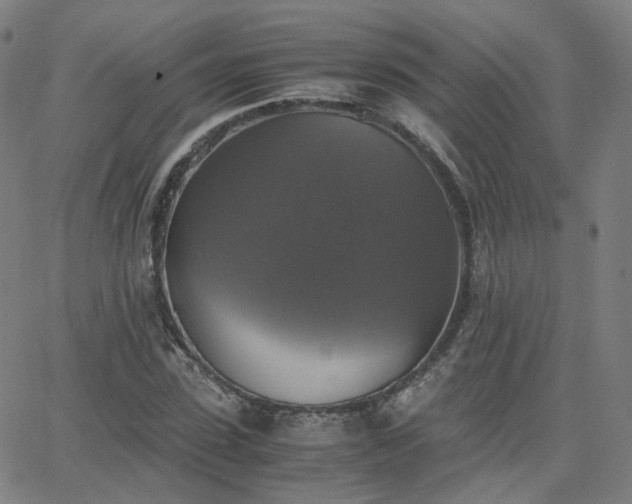 X0000063460923200601201242