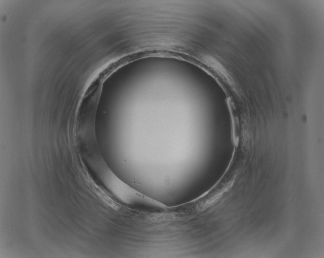 X0000063460924200601201242