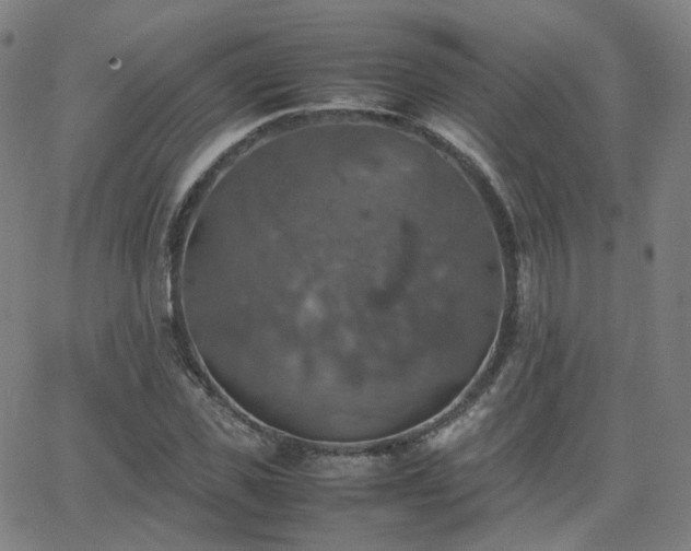 X0000063460925200601201242