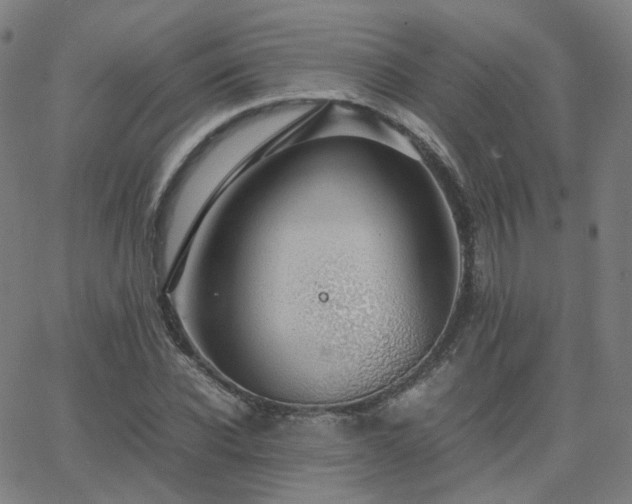 X0000063460926200601201242