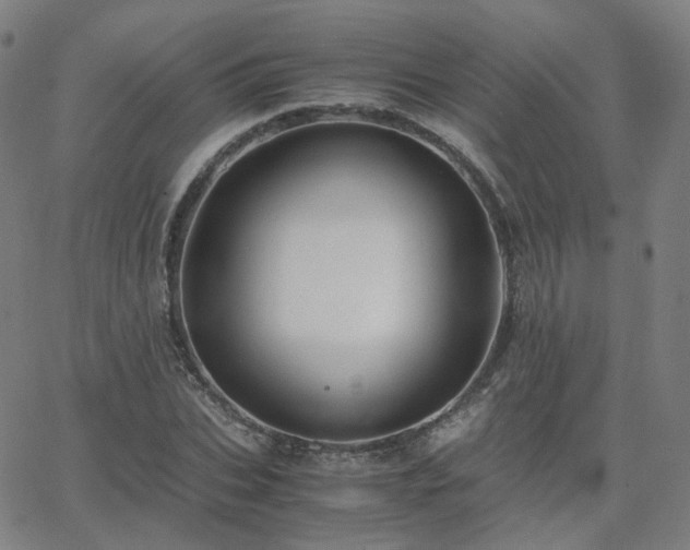 X0000063460927200601201242