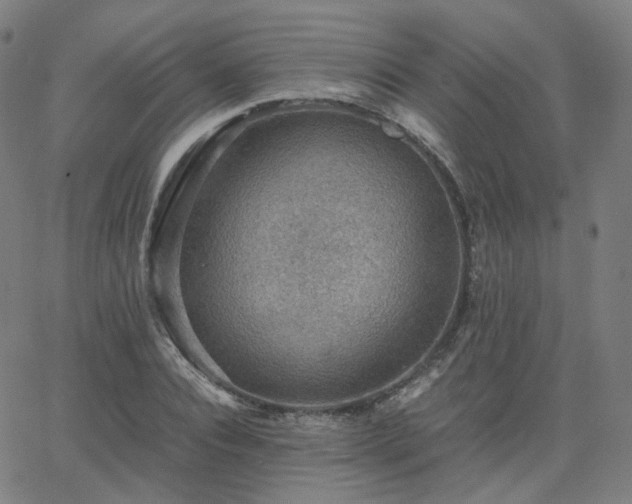 X0000063460928200601201242