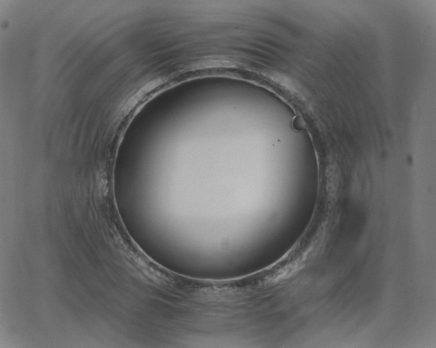 X0000063460929200601201242