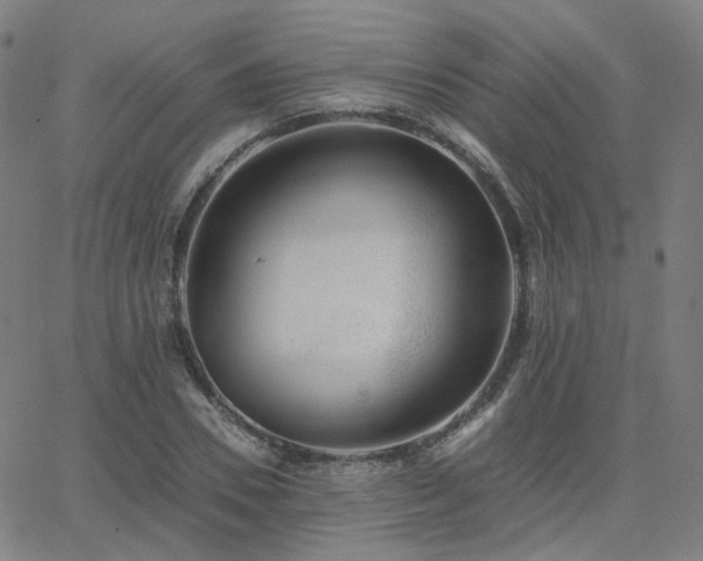 X0000063460930200601201242