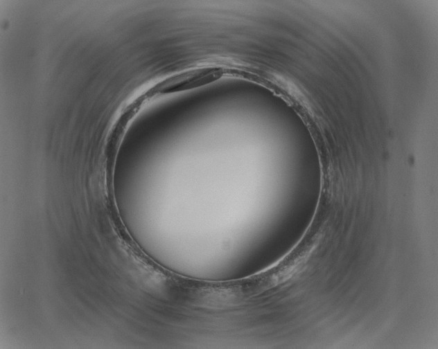 X0000063460931200601201242