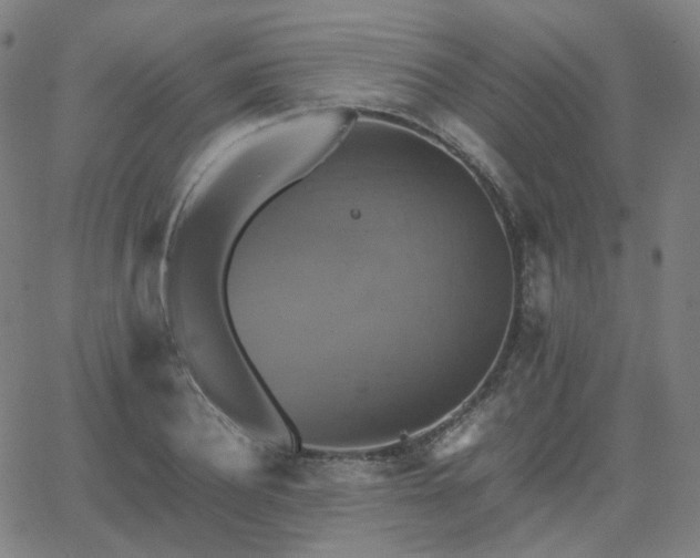 X0000063460932200601201242