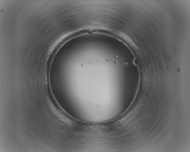 X0000063460934200601201242