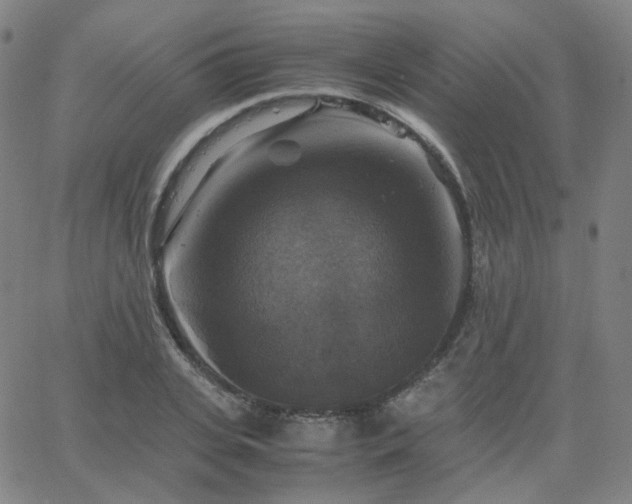 X0000063460935200601201242