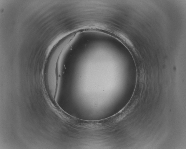 X0000063460936200601201242