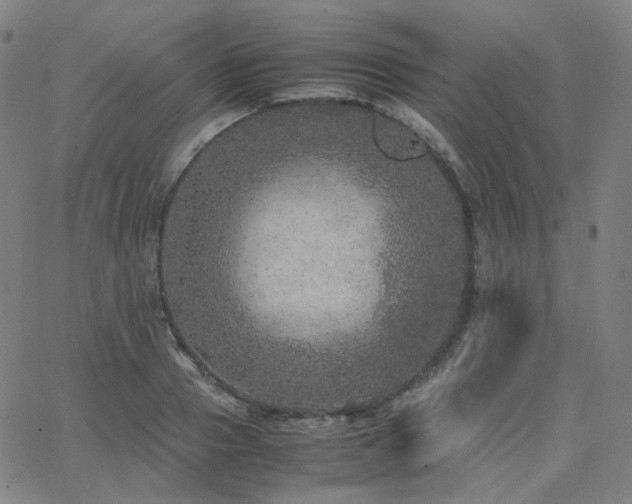 X0000063460937200601201242