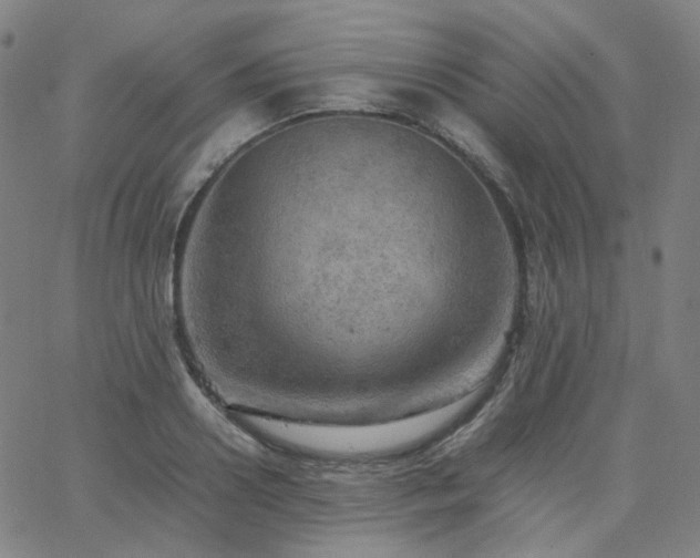 X0000063460938200601201242