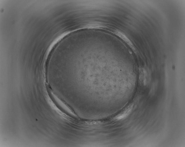 X0000063460939200601201242