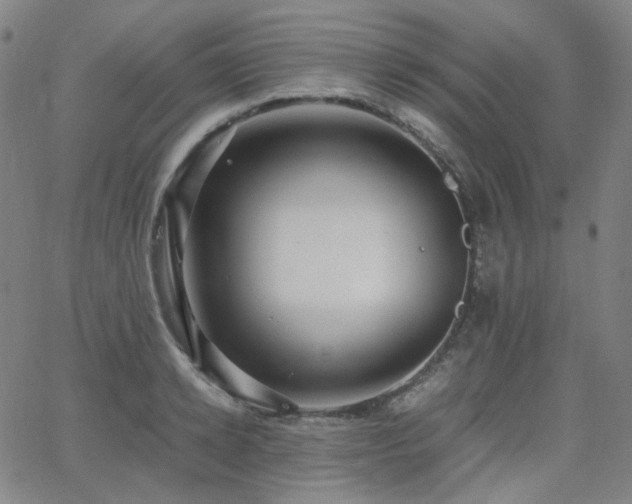 X0000063460942200601201242