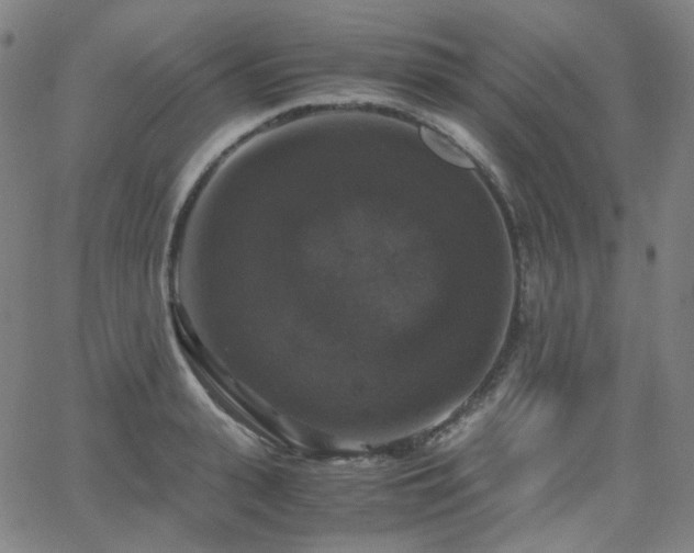 X0000063460943200601201242