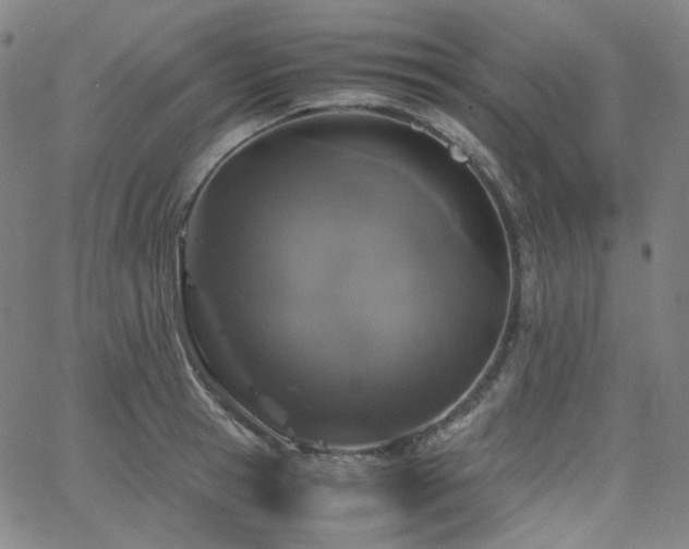 X0000063460945200601201242