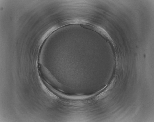 X0000063460946200601201242