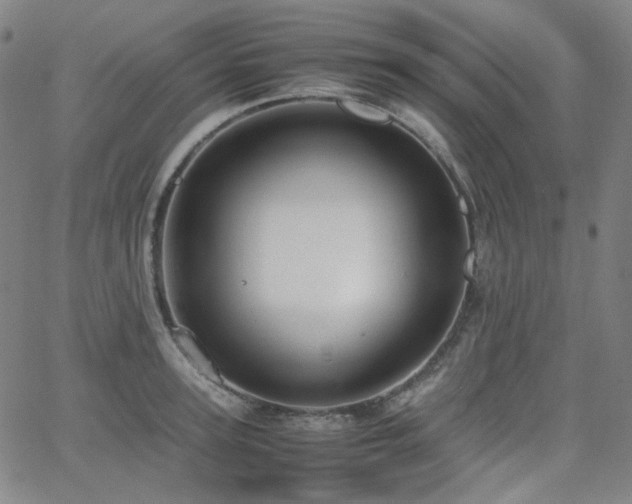 X0000063460947200601201242