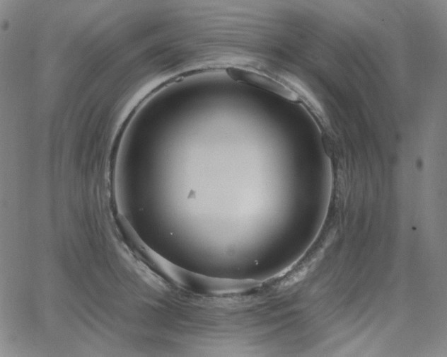 X0000063460948200601201242