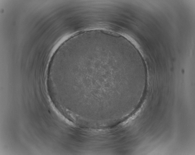 X0000063460949200601201242