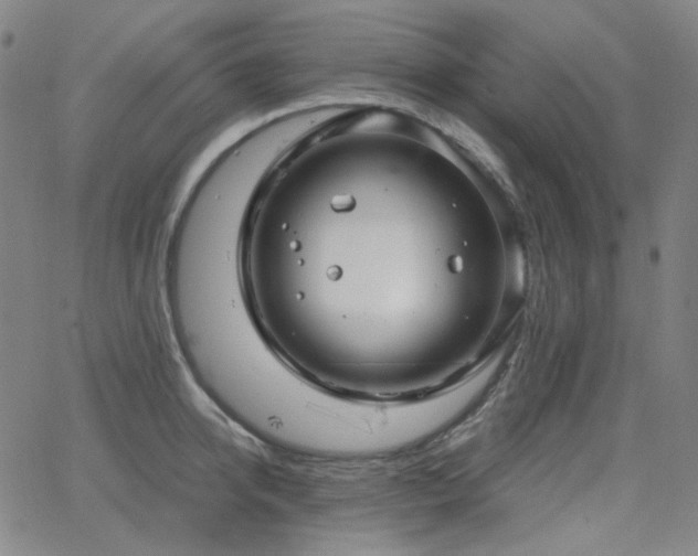 X0000063460950200601201242