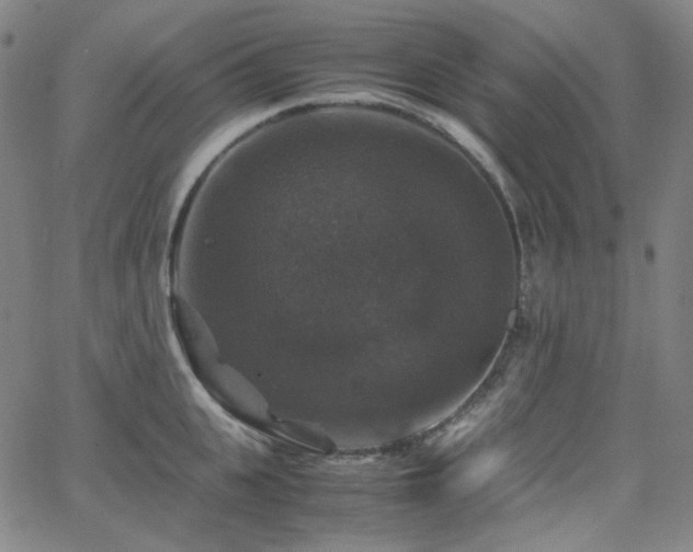 X0000063460951200601201242