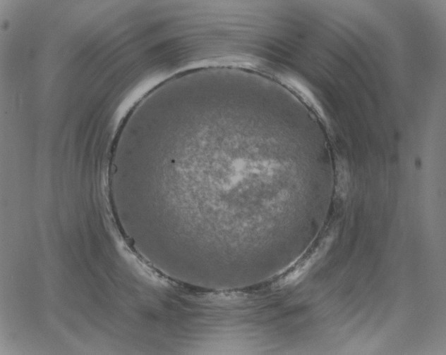 X0000063460952200601201242