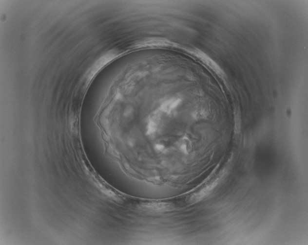 X0000063460953200601201242