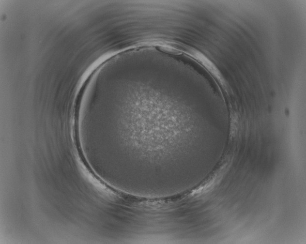 X0000063460955200601201242