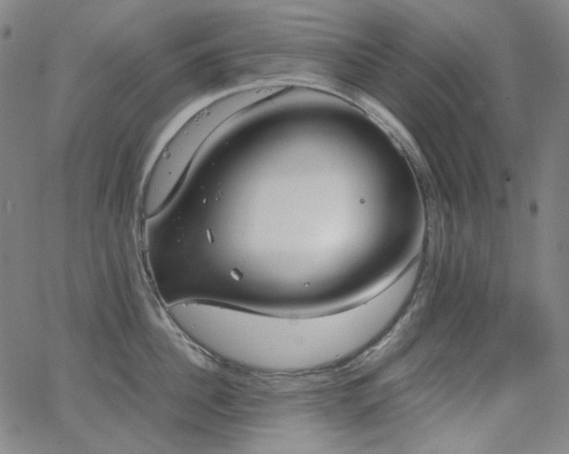 X0000063460956200601201242