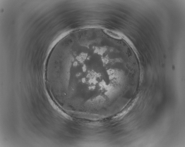 X0000063460957200601201242