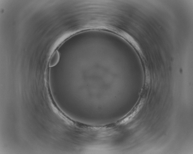 X0000063460958200601201242