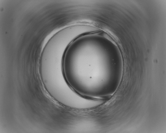 X0000063460960200601201242