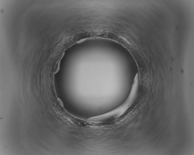 X0000063460961200601201242