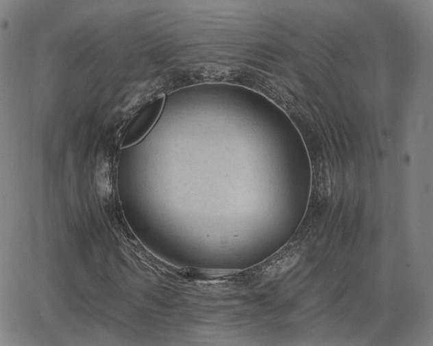 X0000063460962200601201242