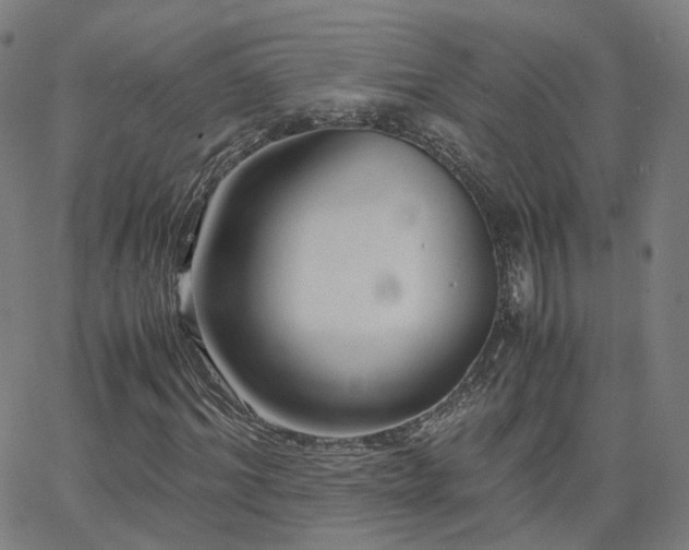 X0000063460964200601201242