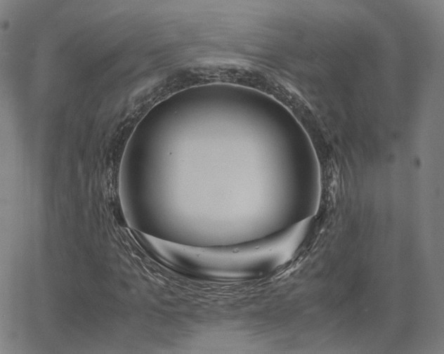 X0000063460965200601201242