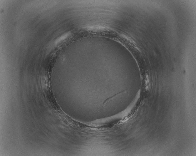 X0000063460966200601201242