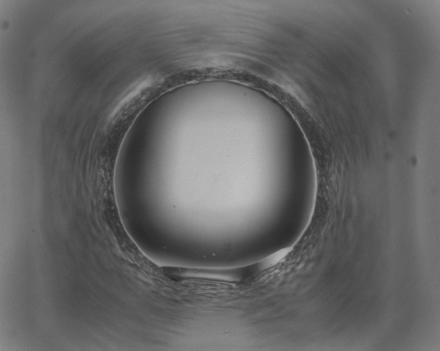 X0000063460967200601201242