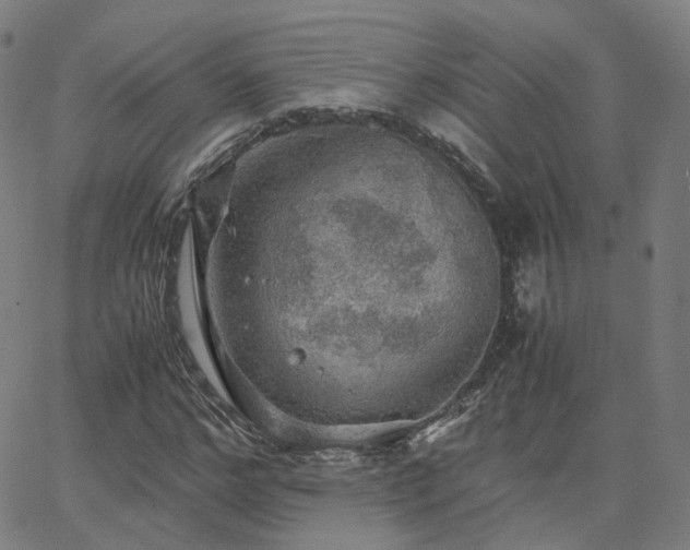 X0000063460968200601201242