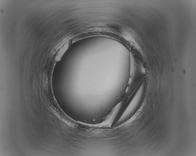 X0000063460969200601201241